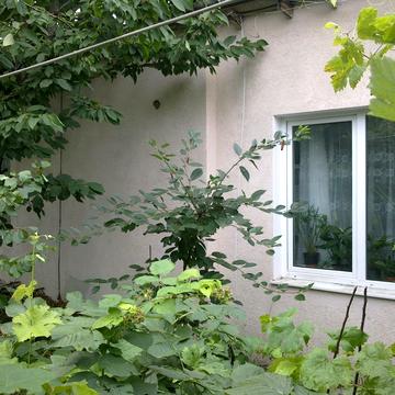 Дачна вул., 9