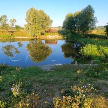 Димер, Вишгородський, Київська область 73500.0 USD