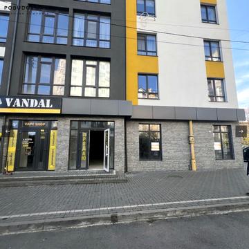 Пасічна вул., 8