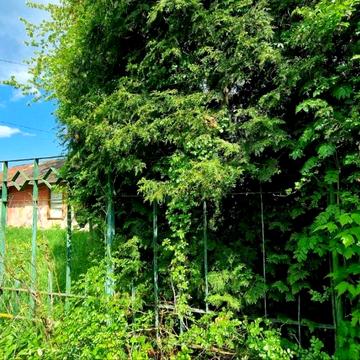 Петра Сагайдачного вул.