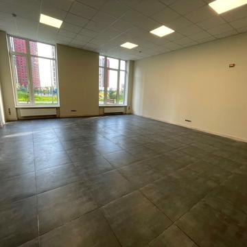 Олександра Олеся вул., 8/17