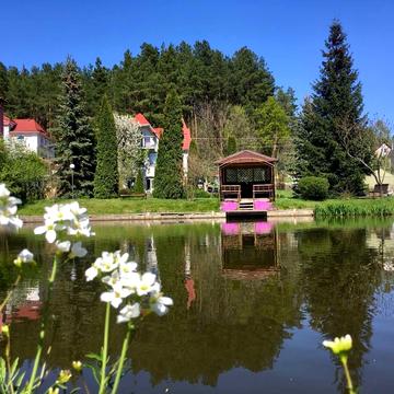 Університетська