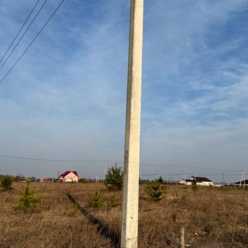 Ярослава Мудрого