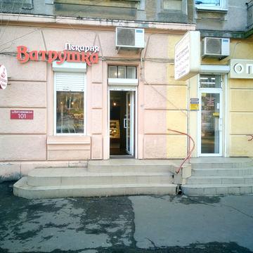 Пантелеймонівська вул., 101