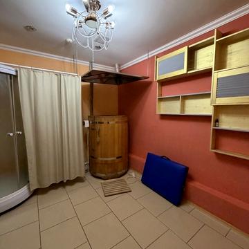 Раїси Окіпної вул., 10-А