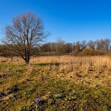 Михайлівка-Рубежівка, Бучанський, Київська область 95000.0 USD
