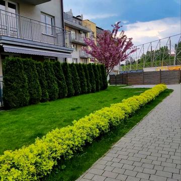 Джерельна вул., 87