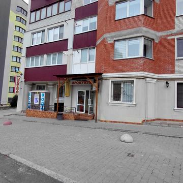 Володимира Великого вул., 9