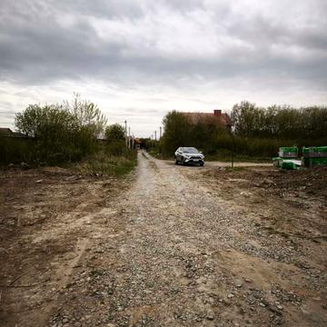 Пчілки Олени