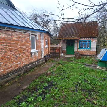 Стельмаха, 77