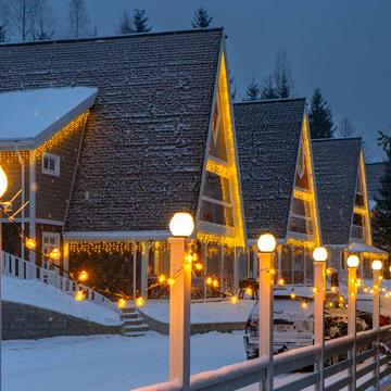 урочище Стаїще, 145