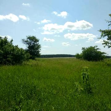 Кердыливщина