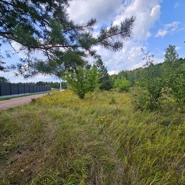 Березова, 25