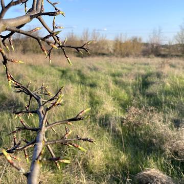 Фортечний, Кропивницький, Кіровоградська область 5000.0 USD