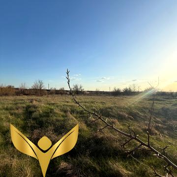 Фортечний, Кропивницький, Кіровоградська область 5000.0 USD