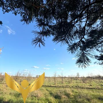 Фортечний, Кропивницький, Кіровоградська область 10000.0 USD