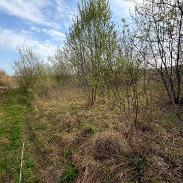 Ужгород, Закарпатська область 8000.0 USD