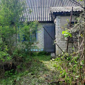 Центральна