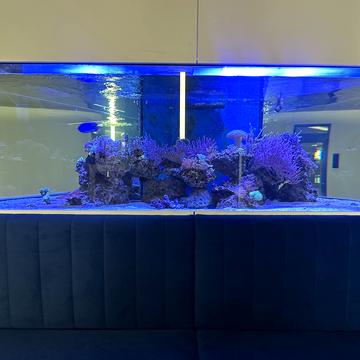 Фонтанська дорога вул. (Перекопской дивизии улица), 124