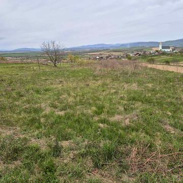 Залужжя, Мукачівський, Закарпатська область 20000.0 USD