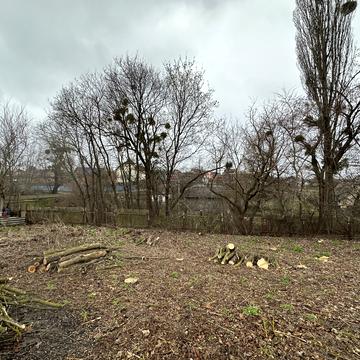 Малютянка, Фастівський, Київська область 38000.0 USD