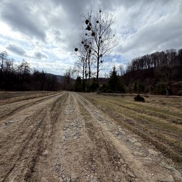 Свалява, Мукачівський, Закарпатська область 12000.0 USD
