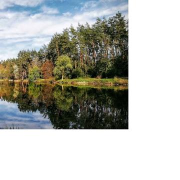 Лісне, Бучанський, Київська область 10000.0 USD