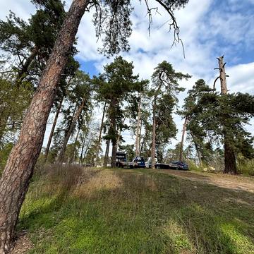 Ярославський ринок, Соснівський, Черкаси, Черкаська область 69000.0 USD