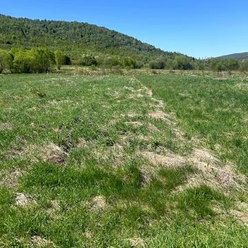 Корчин, Шептицький, Львівська область 2500.0 USD