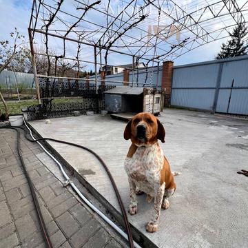 Каденюка, 20