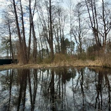 Івана Франка вул.