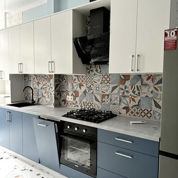 Дача Ковалевського вул., 91