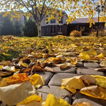 Незалежності вул. (Титова)