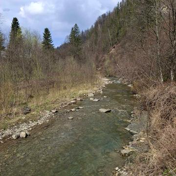 Прокурава, Косівський, Івано-Франківська область 27500.0 USD