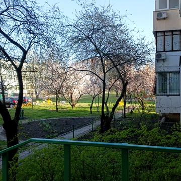 Ревуцького вул., 11-А