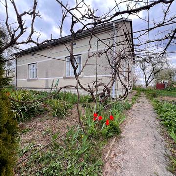 Незалежності