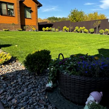 Кленовий пров.