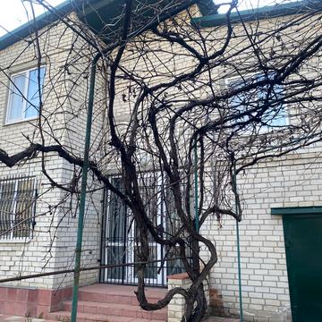 Ломоносова