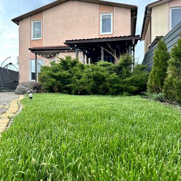 Виноградна, 22