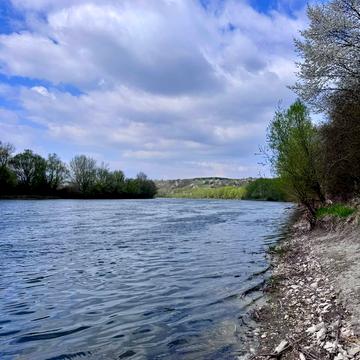 Дністровська