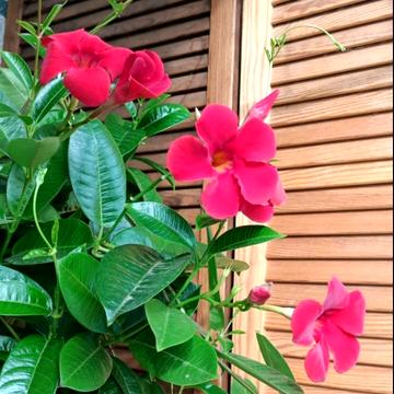 Костанайська вул., 14