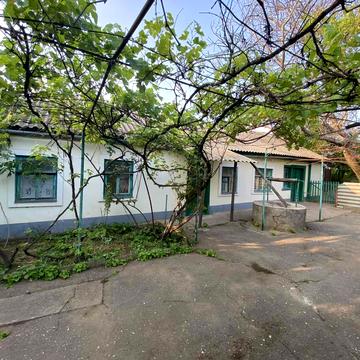 Оранжерейна вул., 62