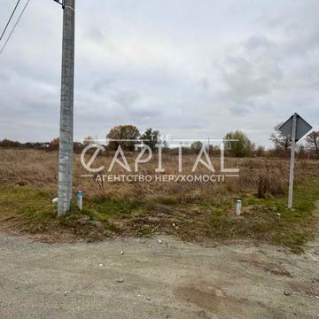 Шафранова