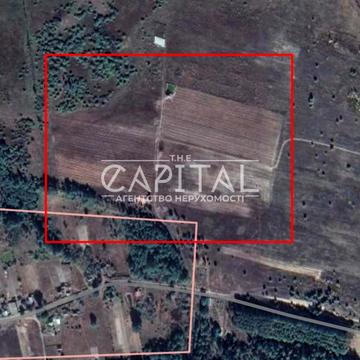 Велика Димерка, Броварський, Київська область 160000.0 USD