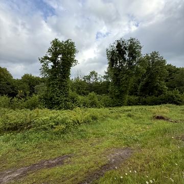 Липники, Львівський, Львівська область 305300.0 USD