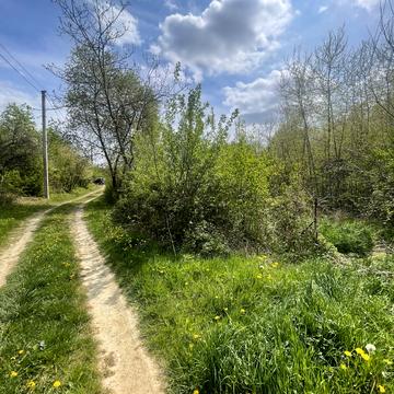 Оноківці, Ужгородський, Закарпатська область 23000.0 USD