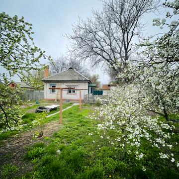 Вільної України