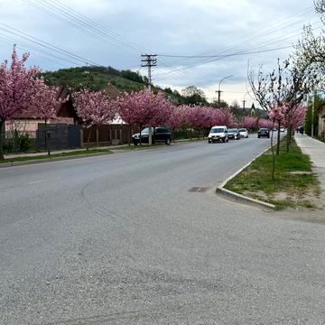 Світанкова вул. (Горького), 18