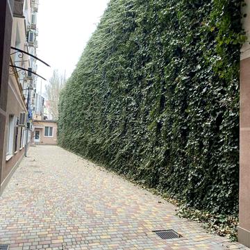 Болгарська вул., 53