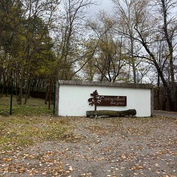 Сосновий берег